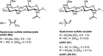 Chemical Modification of Hyaluronan and Their Biomedical Applications